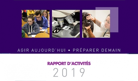 rapport-activité-2019