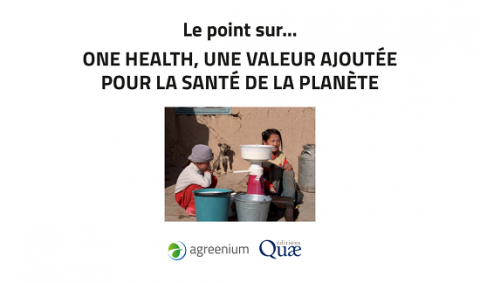 dossier de synthèse one health