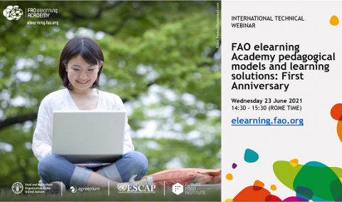 FAO webinar pedagogy & learning