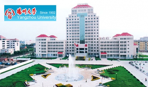 universite-yangzhou